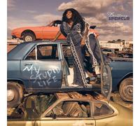 Brittney Spencer - My Stupid Life [Vinyl Lp]
