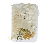 Briyaui Fleurs Séchées pour Bricolage, Colorées et Respectueuses de | Texture moelleuse, Matières organiques, Parfait pour la décoration intérieure, Fabrication de bijoux, Scrapbooking
