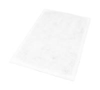 BRIZZ - Filtre G4 Cousu sur Fil - Dimensions : 750 x 355 mm