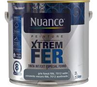 BRM110556 - Peinture XTREM Fer - Gris fonc