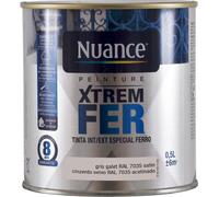 BRM110557 - Peinture XTREM Fer - Gris gale
