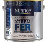 BRM110558 - Peinture XTREM Fer - Gris gale