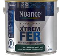 BRM110561 - Peinture XTREM Fer - Vert wago