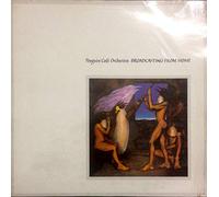 Broadcasting From Home [Vinyl LP]