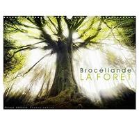 BROCELIANDE, la forêt (Calendrier mural 2027 DIN A3 vertical), CALVENDO calendrier mensuel: photographies de la forêt de Brocéliande