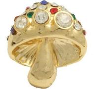 Broche campinolius multicolore