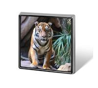 Broche carrée en alliage d'aluminium, motif tigre au zoo, badge décoratif pour homme et femme, sac à dos, vêtements, vestes, cadeau