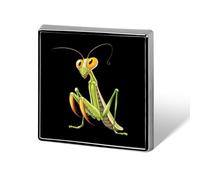 Broche carrée imprimée en forme d'insectes mante religieuse, épingle à bouton, épingle à cravate, décoration pour sac à dos pour homme et femme