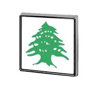 Broche carrée pour homme, motif drapeau du Liban en cèdre, pour chemises, sacs à main, réunions, école, voyage, cadeau d'affaires, 0.7inx0.7in, Métal