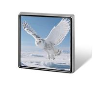 Broche Chouette des neiges carrée en métal émaillé - Cadeau oiseau