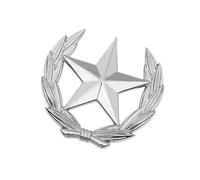Broche classique en forme de gerbe de blé avec étoile en métal - Accessoire polyvalent - Accessoire polyvalent, L, Comme décrit