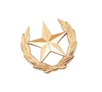 Broche classique en forme de gerbe de blé avec étoile en métal - Accessoire polyvalent pour améliorer les tenues, L, Comme décrit