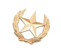 Broche classique en forme de gerbe de blé avec étoile en métal - Polyvalente - Pour améliorer les tenues - Symbole de récolte minimaliste, L, Comme décrit