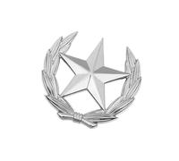 Broche classique en forme de gerbe de blé avec étoile en métal - Polyvalente - Pour améliorer les tenues, Small, Comme décrit