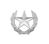 Broche classique en forme de gerbe de blé avec étoile en métal, polyvalente, pour améliorer les tenues classiques et, Small, Comme décrit