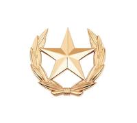 Broche classique en forme de gerbe de blé avec étoile en métal, polyvalente, pour améliorer les tenues classiques et, Small, Comme décrit