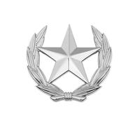 Broche classique en forme de gerbe de blé avec étoile en métal, polyvalente, pour améliorer les tenues classiques et, L, Comme décrit