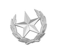 Broche classique en forme de gerbe de blé avec étoile en métal - Polyvalente - Pour améliorer les tenues - Symbole de récolte minimaliste, Petit, Comme décrit