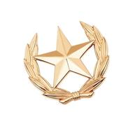 Broche classique en forme de gerbe de blé avec étoile en métal - Polyvalente - Pour améliorer les tenues, Large, Comme décrit