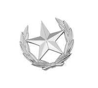 Broche classique en forme de gerbe de blé avec étoile en métal - Polyvalente - Pour améliorer les tenues - Symbole de récolte minimaliste, L, Comme décrit