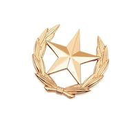 Broche classique en forme de gerbe de blé avec étoile en métal - Polyvalente - Pour améliorer les tenues, L, Comme décrit