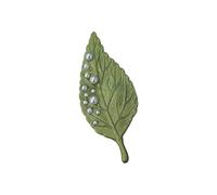 Broche colorée multifonction, belle plante épingle, parfaite pour les amateurs de mode, cadeau de forêt, One Size, Comme décrit
