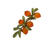 Broche délicate en cristal de verre d'agrumes avec sculpture complexe, parfaite pour les tenues professionnelles et les expositions artistiques. Broche en verre d'agrumes portée à la main