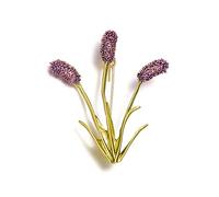 Broche d'émail floraison de la plante Maple Leaf Daisy Tulip Bouquet Panier Bell Orchidée Rose Fleur Rose épingles de mariage Bijoux de mariage