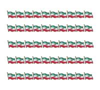 Broche détaillée du drapeau de l'Iran utilisant plusieurs processus de fabrication pour une durabilité accrue dans une utilisation diplomatique, One Size, Comme décrit