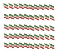Broche détaillée du drapeau de l'Iran utilisant plusieurs processus de fabrication pour une durabilité accrue dans une utilisation diplomatique, One Size, Comme décrit, Comme décrit