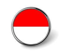 Broche Drapeau De La République D'Indonésie Pour Chemises - Boutons De Pudeur Épingles Pour Couvrir Les Chemisiers Boutons Invisibles De Sécurité Broches Fixes Pour Sacs T-Shirts Et Autres Vêtements