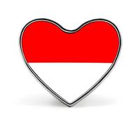 Broche Drapeau De La République D'Indonésie Pour Chemises - Boutons De Pudeur Épingles Pour Couvrir Les Chemisiers Boutons Invisibles De Sécurité Broches Fixes Pour Sacs T-Shirts Et Autres Vêtements