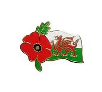 Broche drapeau gallois du Pays de Galles Dragon Coquelicot rouge Jour du Souvenir Soldat Vétérans Cadeau souvenir du Royaume-Uni, Métal
