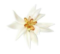 Broche Edelweiss émaillée avec charme de maison de campagne coréenne, cadeau léger et portable pour les femmes au quotidien, broche émaillée simple avec charme coréen