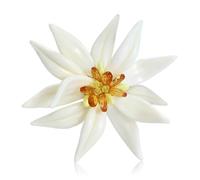 Broche Edelweiss émaillée inspirée pour, tenue légère avec un savoir-faire raffiné, sélection de cadeaux, broche Edelweiss