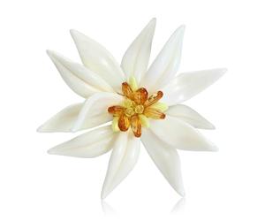 Broche Edelweiss émaillée inspirée pour, tenue légère avec un savoir-faire raffiné, sélection de cadeaux, broche Edelweiss