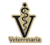 Broche en alliage inspirée des symboles anciens - Accessoire de style moderne et minimaliste - Parfait pour les vestes, sacs et broche minimaliste en forme de serpent, taille unique, Comme décrit