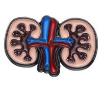Broche en émail : cœur, poumons, intestin, cerveau et système nerveux, Klein, Métal non précieux