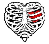 Broche en émail organe anatomique, cœur, cerveau, poumon, utérus, Klein, Métal non précieux