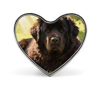 Broche en forme de cœur représentant un chien bien élevé, symbole d'amour et de ballon, idéale pour un sac à dos ou un revers de veste. Parfaite pour la Saint-Valentin ou un anniversaire.