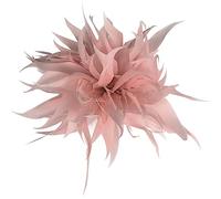 Broche En Plume,Asudaro Broche En Plume Corsage En Plume Couvre-Chef En Plume Accessoires Pour Cheveux En Plume épinglettes En Plume Pour Hommes Et Femmes Pour Costumes, Poches Poitrine, Chapeaux