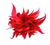 Broche En Plume,Asudaro Broche En Plume Corsage En Plume Couvre-Chef En Plume Accessoires Pour Cheveux En Plume épinglettes En Plume Pour Hommes Et Femmes Pour Costumes, Poches Poitrine, Chapeaux