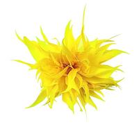 Broche En Plume,Asudaro Broche En Plume Corsage En Plume Couvre-Chef En Plume Accessoires Pour Cheveux En Plume épinglettes En Plume Pour Hommes Et Femmes Pour Costumes, Poches Poitrine, Chapeaux