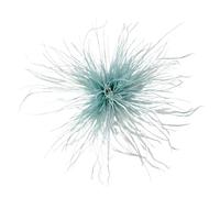 Broche en plumes d'autruche colorées, épingles à revers, clips for foulards, for femmes et hommes, vêtements de luxe, bijoux, accessoires Pour Anniversaire, Mariage(Brown)