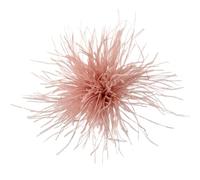 Broche en plumes d'autruche colorées, épingles à revers, clips for foulards, for femmes et hommes, vêtements de luxe, bijoux, accessoires Pour Anniversaire, Mariage(Orange)