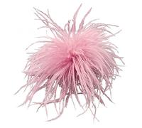 Broche En Plumes Pour Écharpe Accessoires De Bijoux Décoration Vêtements Pour Femmes Matériel D'autruche Épingle Corsage Épingles À Revers