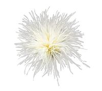 Broche En Plumes Pour Écharpe Épingles À Clip Accessoires De Robe Matériel D'autruche Épingle De Corsage Épingles À Revers Épingle En Plume D'autruche