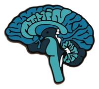 Broche médicale : stéthoscope, cœur, cerveau, poumons, sang, seringue, badge ambulance, Klein, Métal non précieux