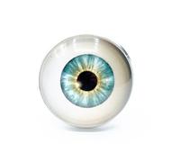 Broche oeil Miniblings épinglette oeil Halloween globe oculaire effrayant Cabochon