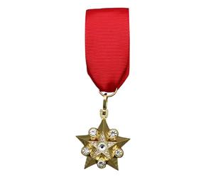 Broche rétro en alliage de 4 cm pour les amateurs d'histoire et les fêtes costumées - Broche d'officier russe de l'URSS, One Size, Comme décrit